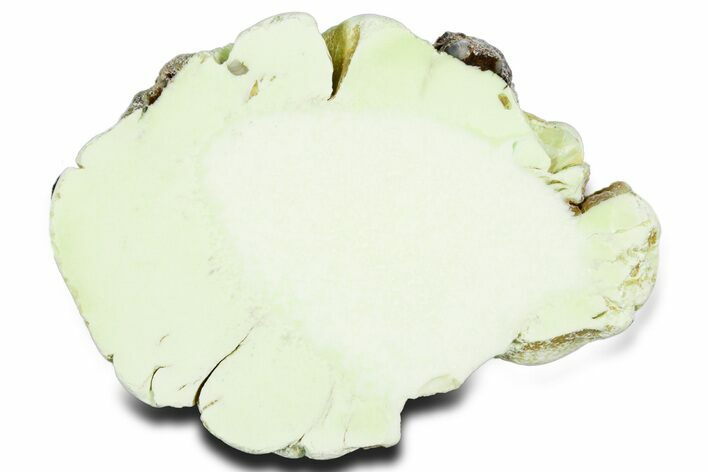 Polished Lemon Chrysoprase Section - Western Australia #353717